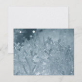 Snow balls 2 (Front/Back)