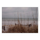 Snow Beach (Front Horizontal)