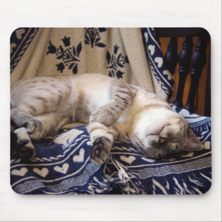 Snow Bengal on Rocker Mouse Pad