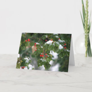 Snow Berries Holiday Card