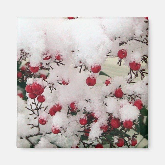 Snow Berries Magnet (Front)