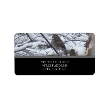 Snow Bird Address Labels by lifethroughalens at Zazzle
