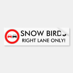 Snow Birds Bumper Sticker