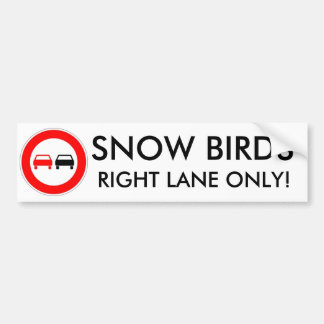 Snow Birds Bumper Sticker