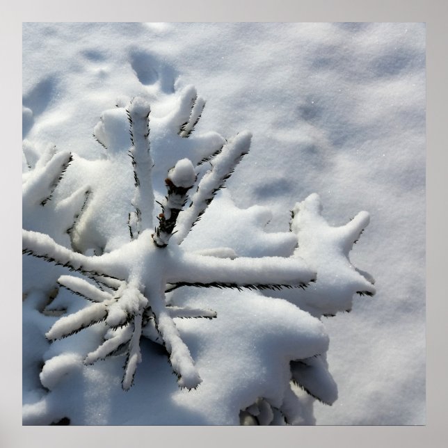 Snow blanket poster (Front)