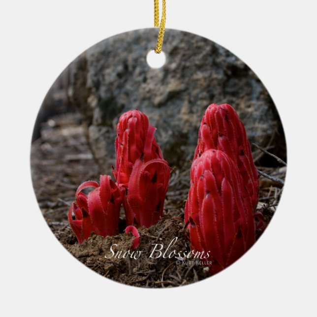 Snow Blossoms Ceramic Ornament (Front)