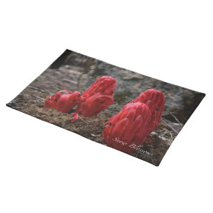 Snow Blossoms Cloth Placemat