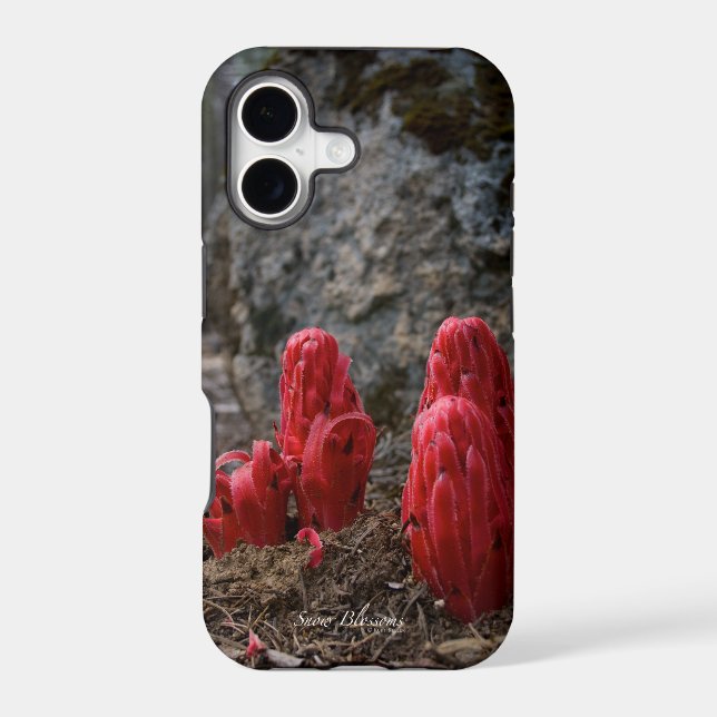 Snow Blossoms Iphone Case (Back)