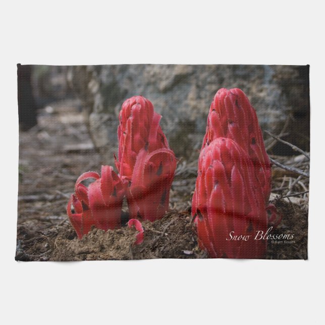 Snow Blossoms Kitchen Towel (Horizontal)