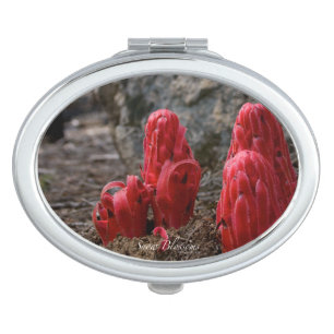 Snow Blossoms Mirror For Makeup