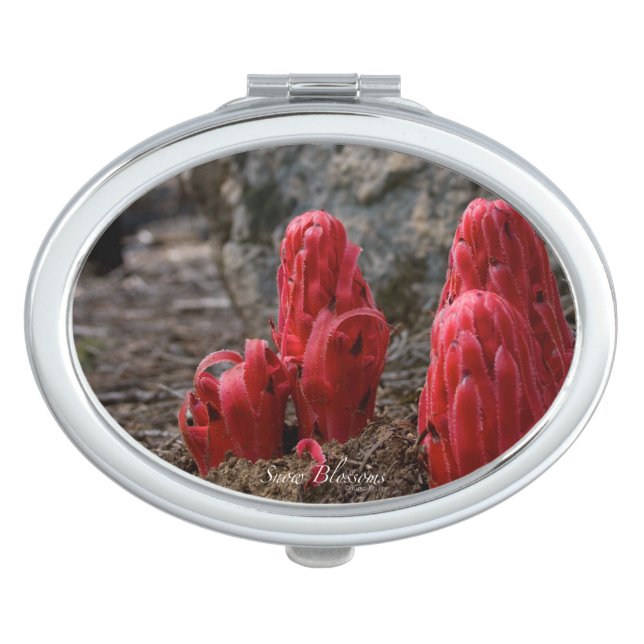 Snow Blossoms Mirror For Makeup (Front)