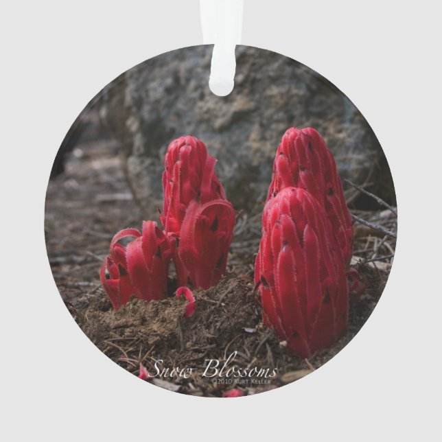 Snow Blossoms Ornament (Back)