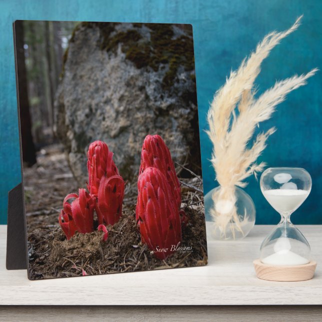 Snow Blossoms Plaque (Side)