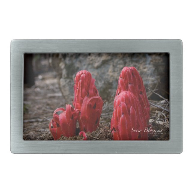 Snow Blossoms Rectangular Belt Buckle (Front)