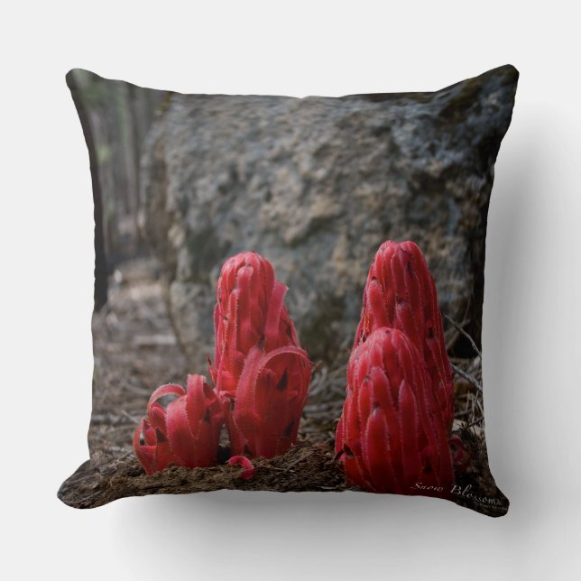 Snow Blossoms Throw Pillow (Front)