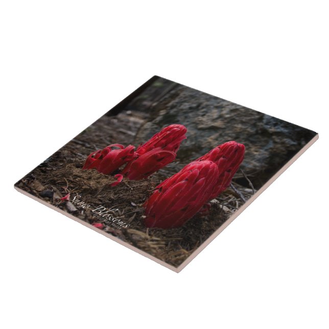 Snow Blossoms Tile (Side)