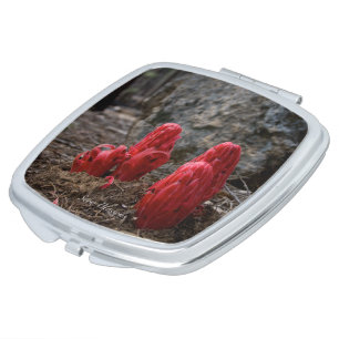 Snow Blossoms Vanity Mirror