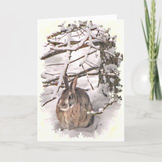 Snow Bunny Christmas Holiday Card