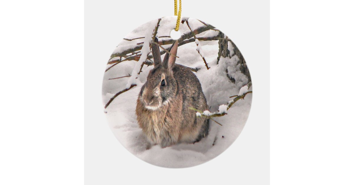 Snow Bunny Christmas Ornament Zazzle