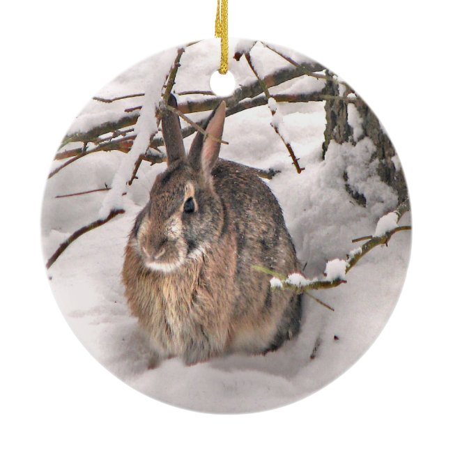 Snow Bunny Christmas Ornament