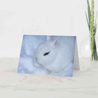 Snow Bunny Holiday Card