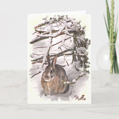 Snow Bunny Rabbit Thinking of You Card