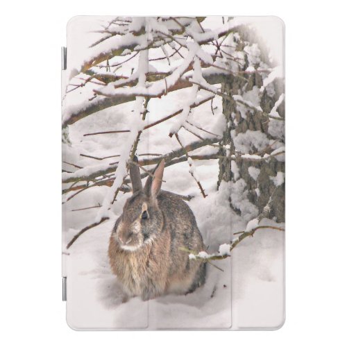 Snow Bunny Seeking Shelter 105 iPad Pro Case