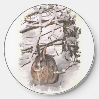 Snow Bunny Seeking Shelter Wireless Charger