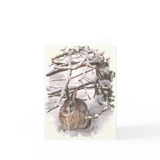 Bunny Cards