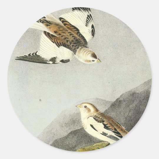 Snow Bunting - John James Audubon Classic Round Sticker