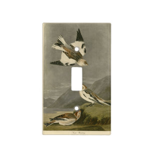 Snow Bunting John James Audubon's Birds of America Light Switch Cover