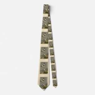 Snow Bunting John James Audubon's Birds of America Neck Tie