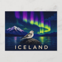 Snow Bunting Under the Aurora | Iconic Iceland