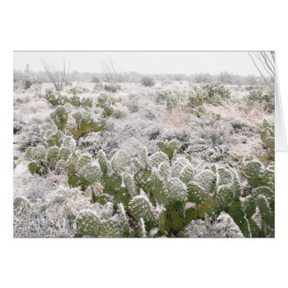 Snow Cactus Cards
