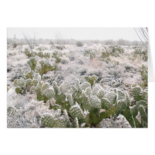 Snow Cactus Cards (Front Horizontal)
