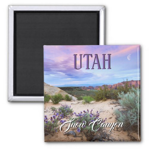 Snow Canyon Utah Magnet