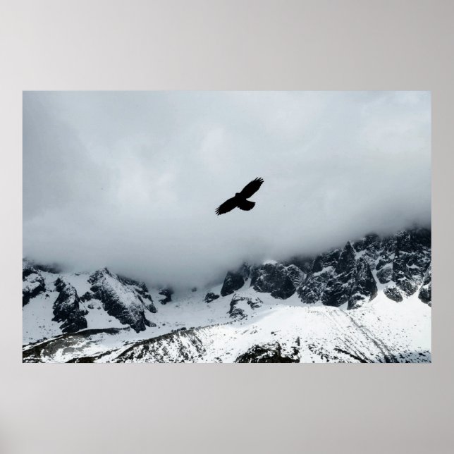Snow Capped Mountain Bird Posted Poster (Front)
