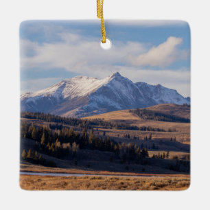 Snow Capped Mountain Yellowstone Ornament