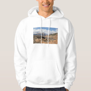 Snow-Capped Mountains Hoodie