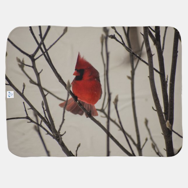 Snow Cardinal Baby Blanket (Back Horizontal)