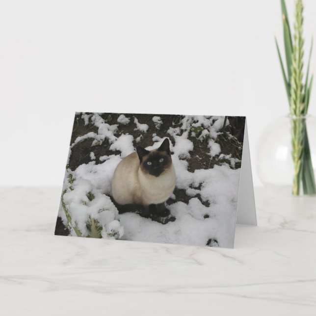 Snow Cat Card (Front)