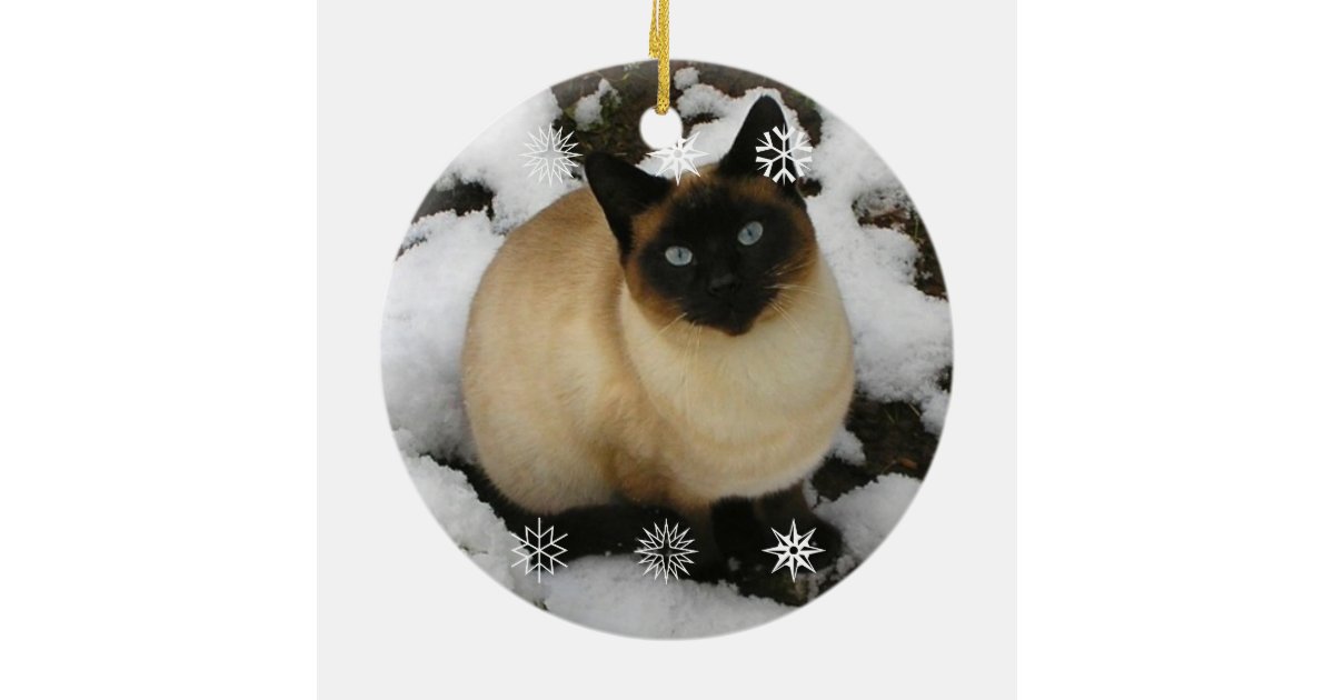 Snow Cat Ornament Zazzle