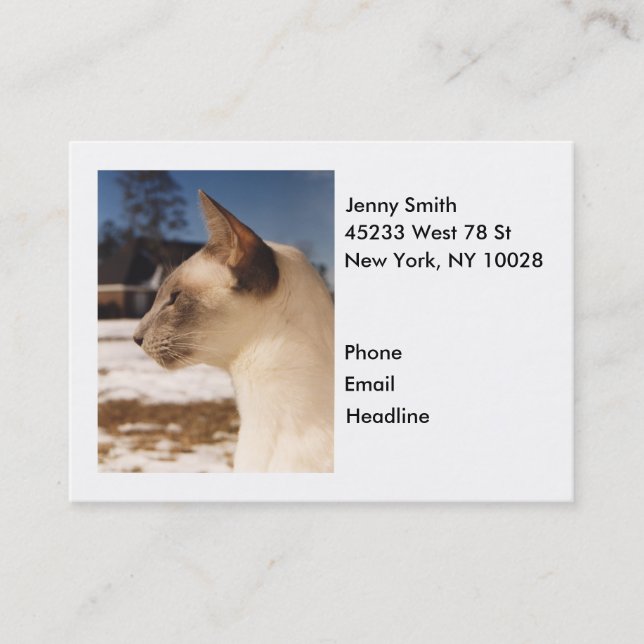 Snow Cat - Siamese Blue Point Profile Business Card (Front)