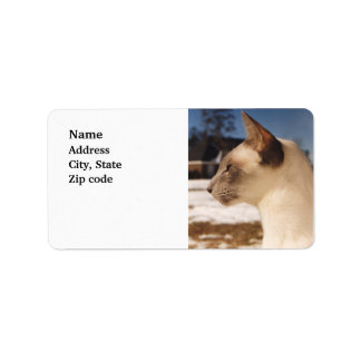 Snow Cat - Siamese Blue Point Profile Label