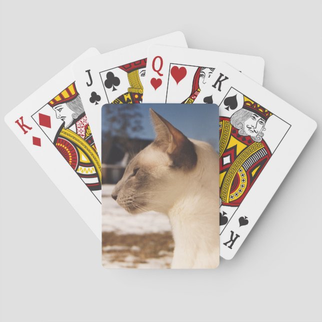 Snow Cat - Siamese Blue Point Profile Poker Cards (Back)
