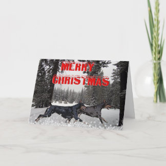 Snow Christmas Dobermans Holiday Card