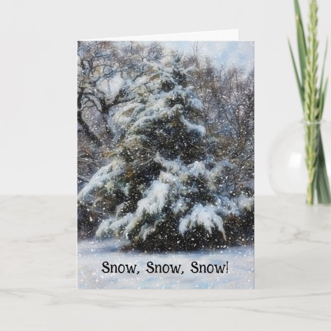 Snow Christmas Wishes Holiday Card (Front)