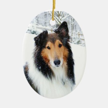 Snow Collie Christmas Ornament by DesireeGriffiths at Zazzle