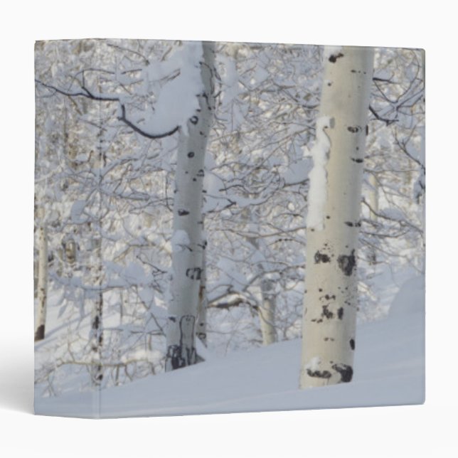 Snow-Covered Aspens, Beartrap-Desolation Ridge Binder (Front/Spine)