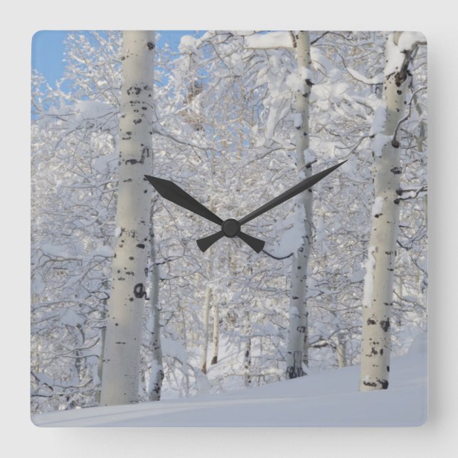 Snow-Covered Aspens, Beartrap-Desolation Ridge Square Wall Clock (Front)